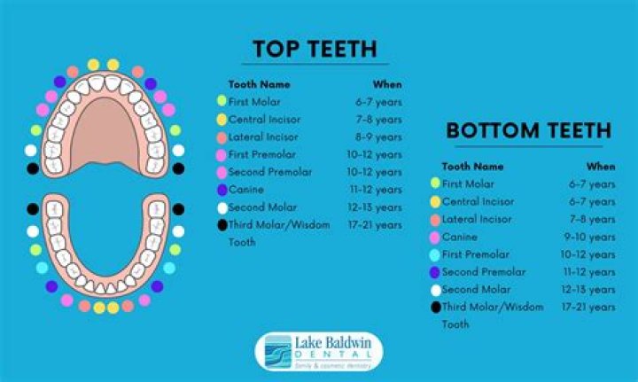 Which teeth are easier to pull top or bottom?