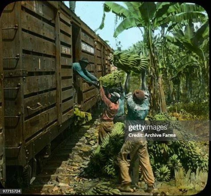 Who brought banana to Jamaica?