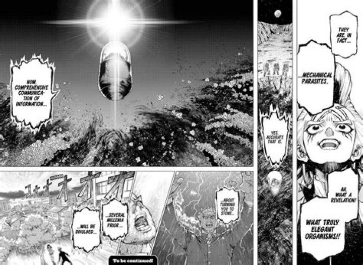 Who caused the petrification in Dr. Stone?