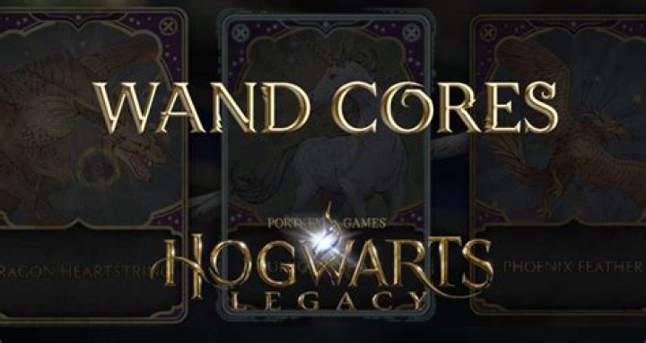 Who has a wand with a phoenix feather core?