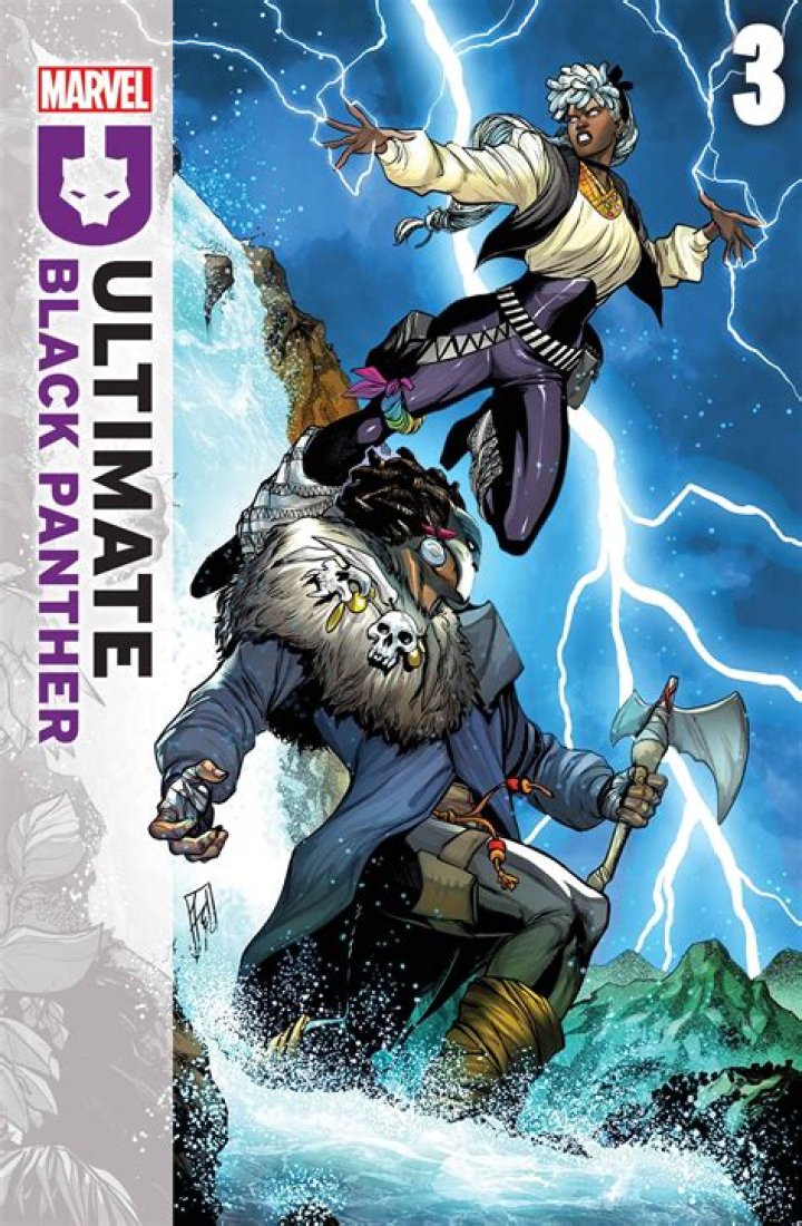 Who is Black Panther's son?