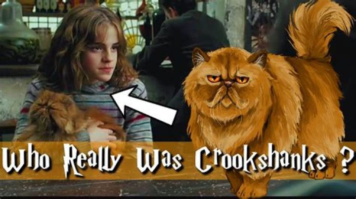 Who is Crookshanks original owner?
