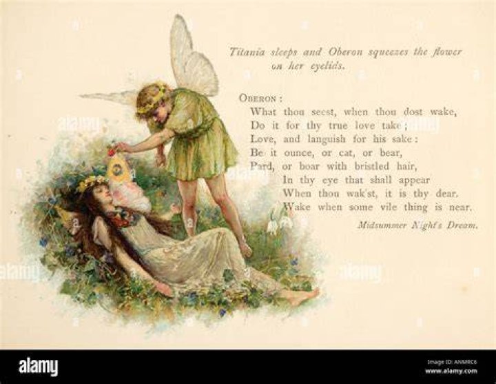Who is Oberon in love with?