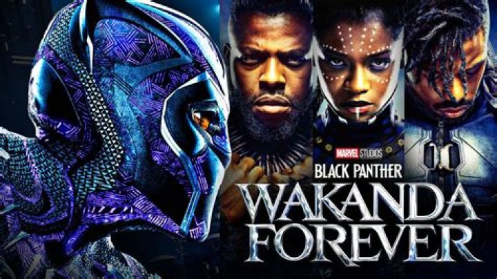 Who is Sgt Bucky at end of Black Panther?