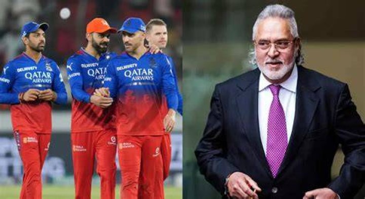 Who is the owner of Sultan bull?