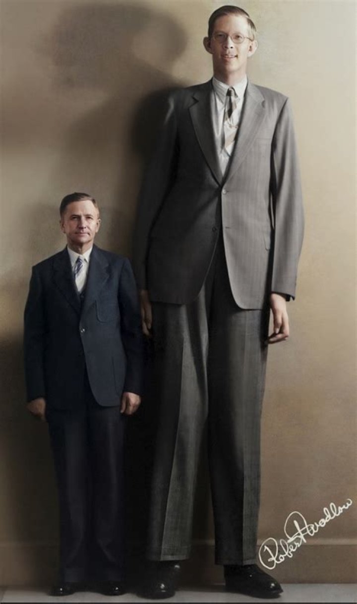 Who is the tallest dwarf in Middle Earth?