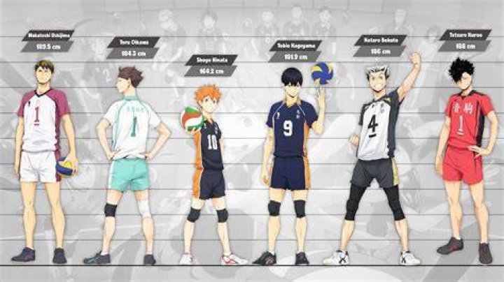 Who is the tallest libero in Haikyuu?