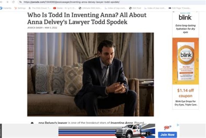 Who is Todd in Inventing Anna?