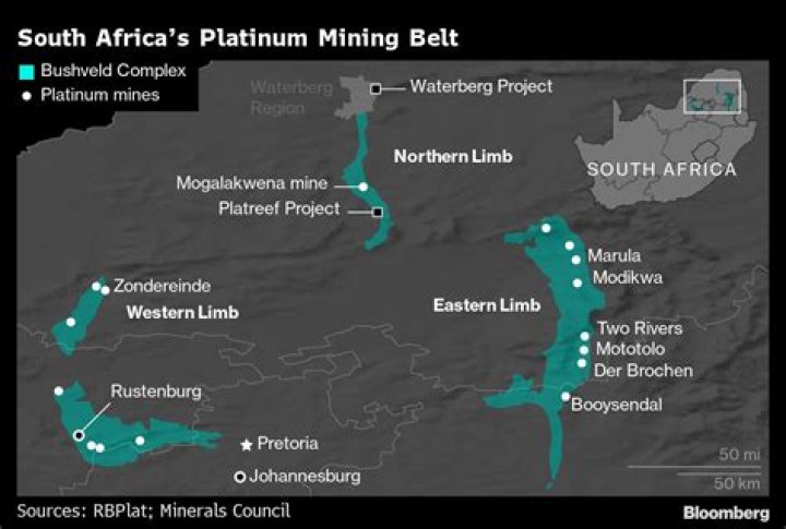 Who owns platinum mines in South Africa?