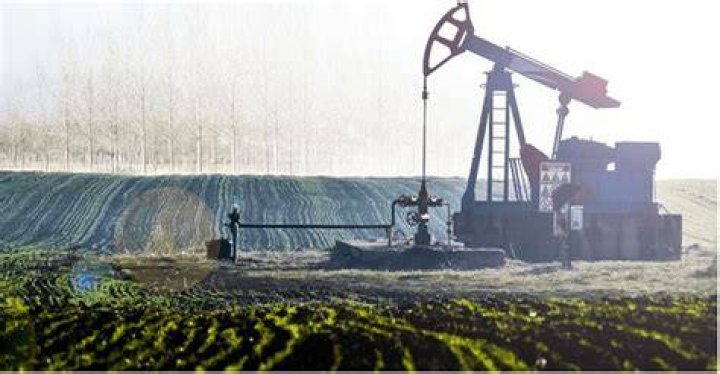 Who produces the cleanest oil in the world?