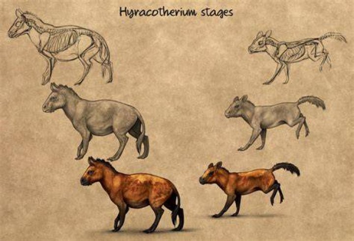 Who sang the horses originally?