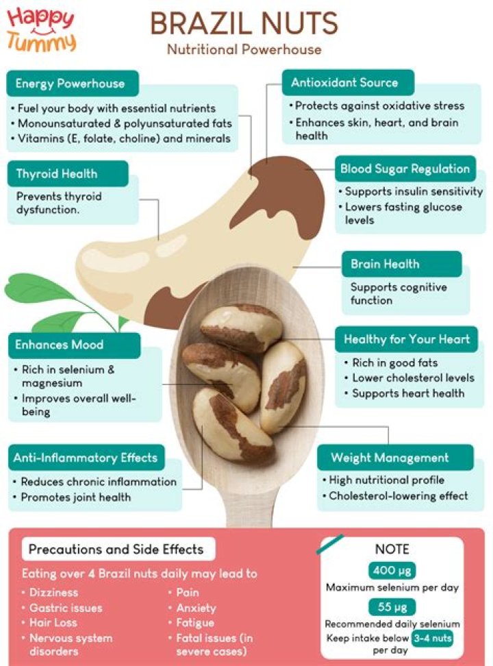 Why are Brazil nuts so radioactive?