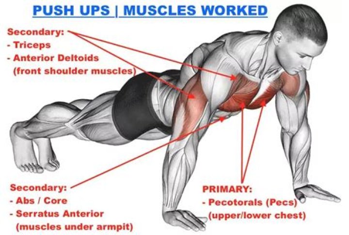 Why are military push-ups so hard?