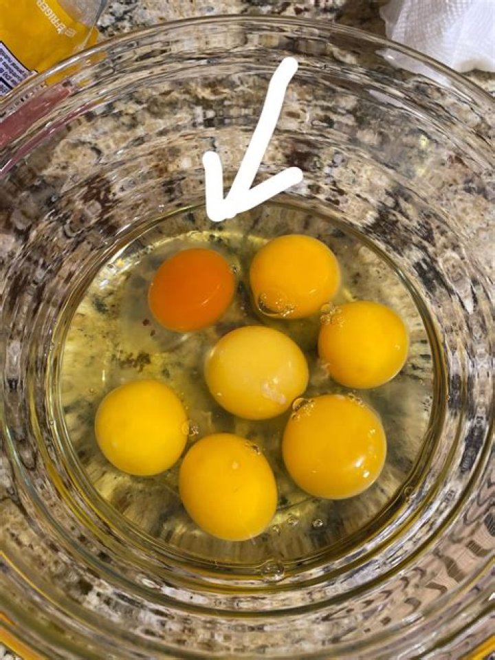 Why are my eggs orange?