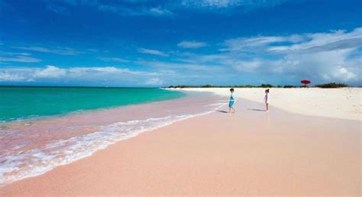 Why are pink sand beaches pink?