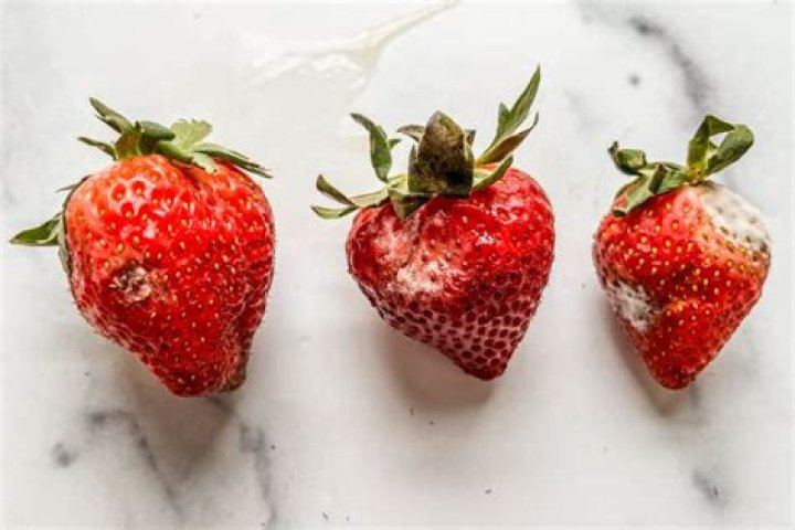 Why are there no strawberries 2021?