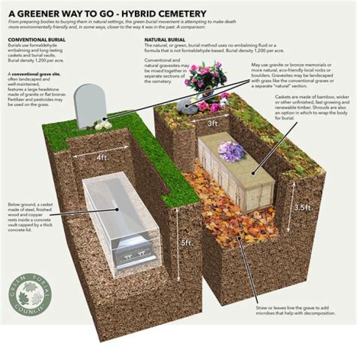 Why can't I be buried with my pet?