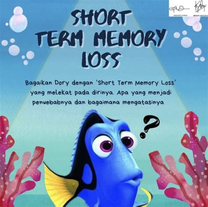 Why did Dory lose short-term memory?