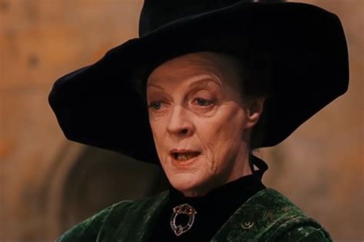 Why did McGonagall give Harry the Nimbus 2000?