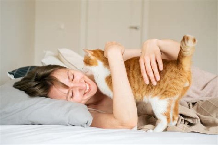 Why do cats bunt you?