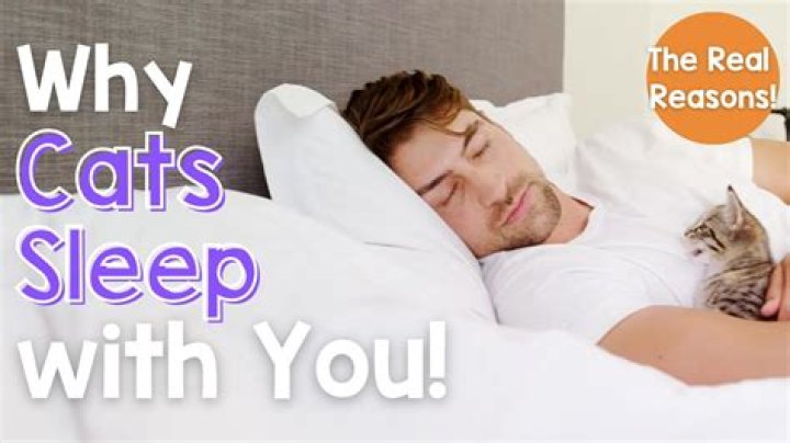 Why do cats choose to sleep with their owners?