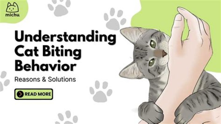 Why do cats gently bite you?