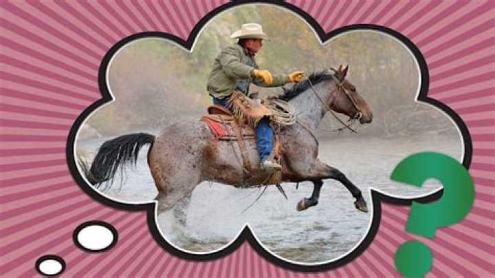 Why do cowboys say yee haw?