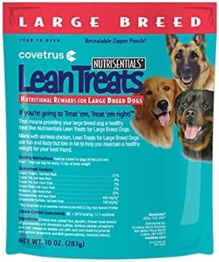 Why do dogs lean into you?