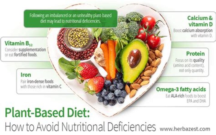 Why do I fart so much on a plant-based diet?