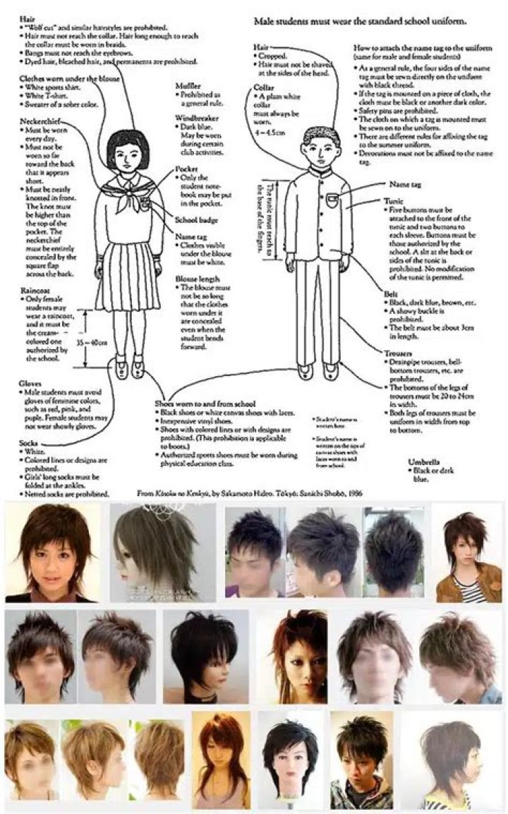 Why do Japanese ban ponytails?