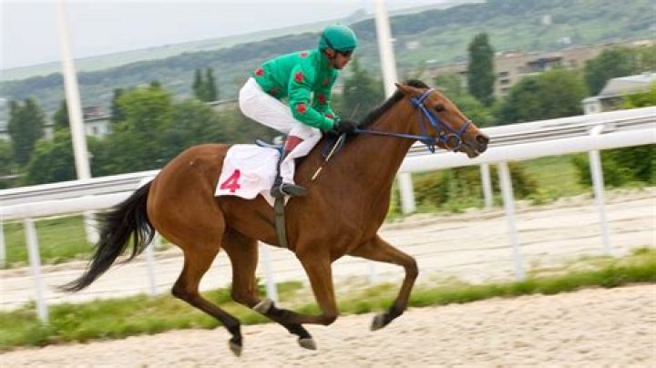 Why do jockeys stand up when racing?