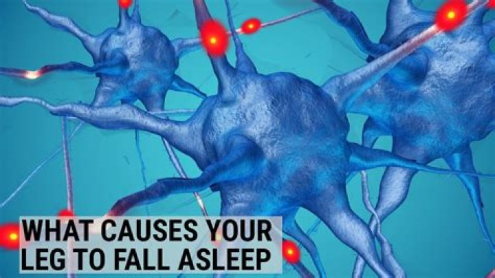 Why do legs fall asleep?