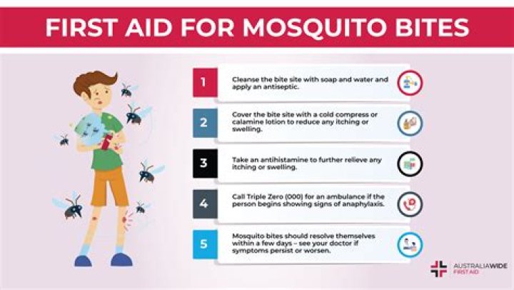 Why do mosquitoes bite females more?