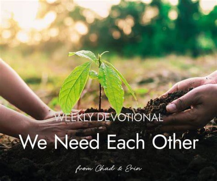 Why do we mirror each other?