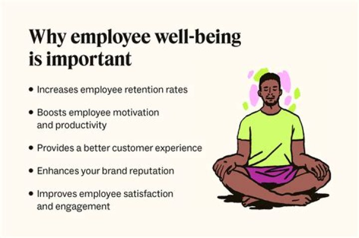 Why do you think it is so important to have employability skills?