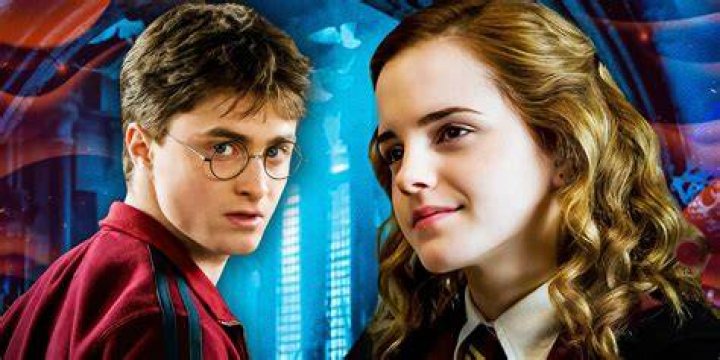 Why does Bellatrix call Harry a half blood?