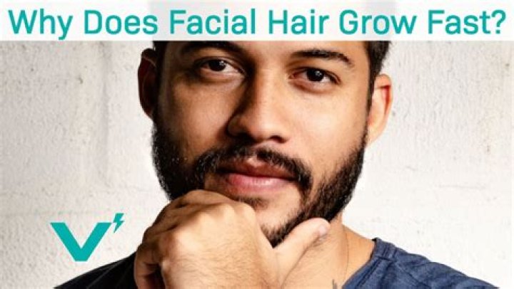 Why does facial hair grow so fast?