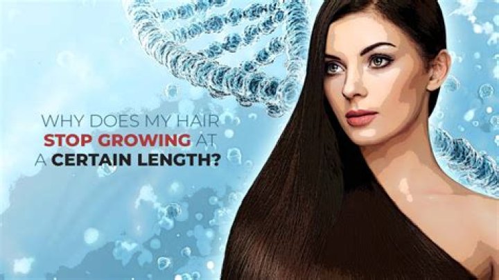 Why does hair stop growing?