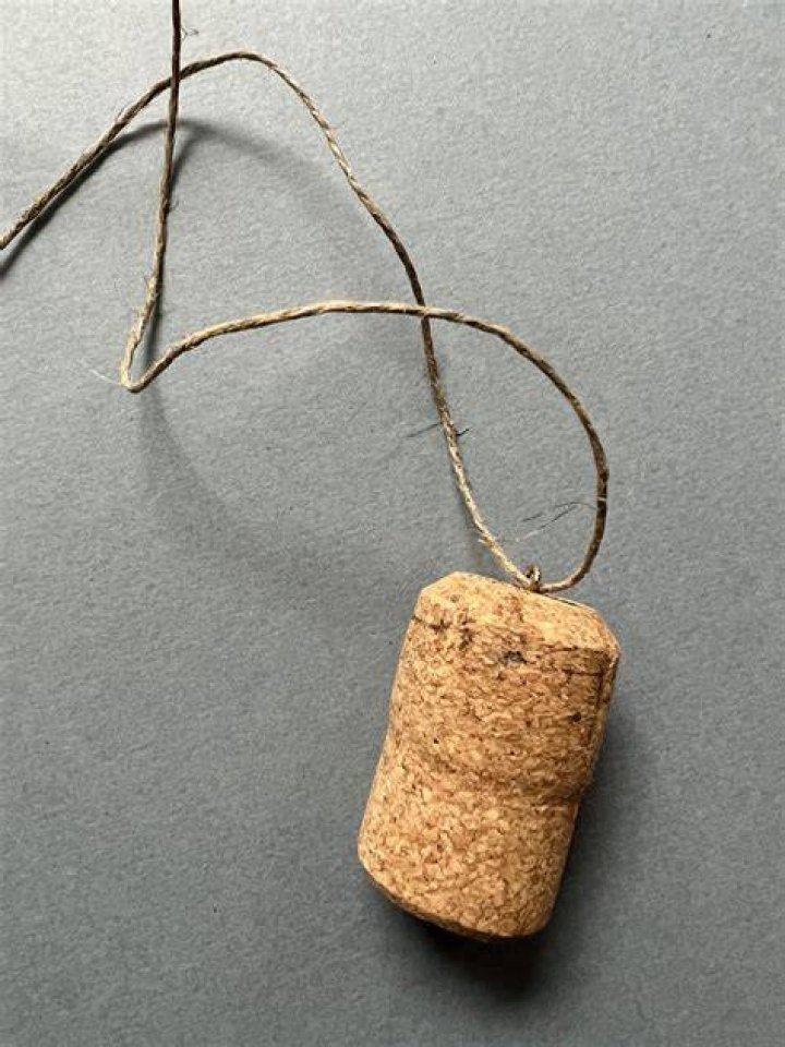 Why does Luna wear a cork necklace?
