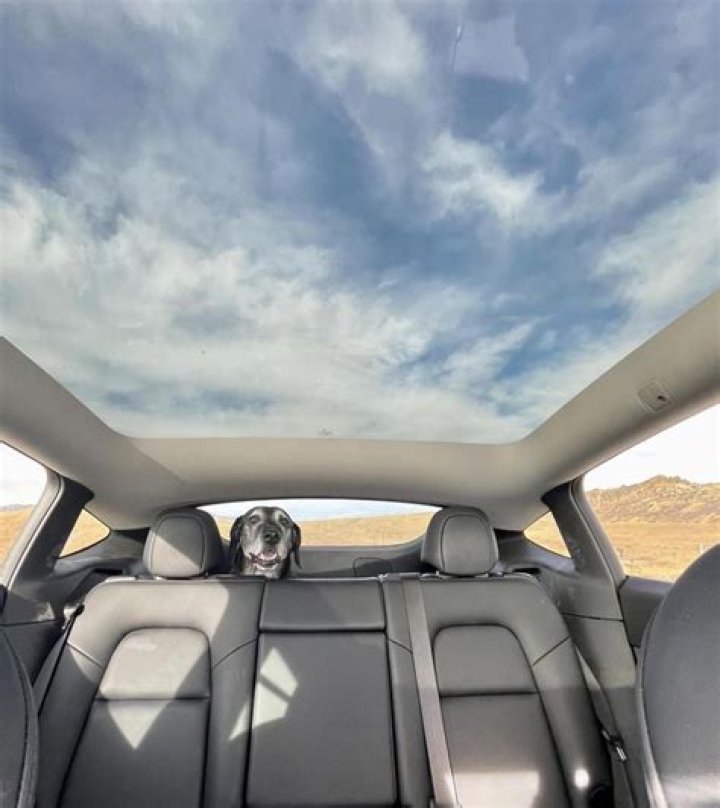 Why does Model 3 have glass roof?