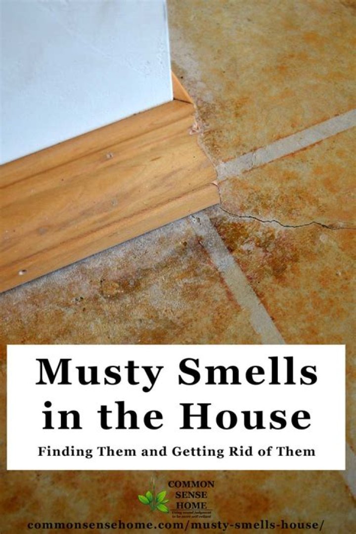 Why does my bedroom smell musty?