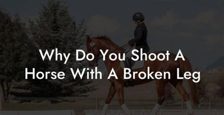 Why does my horse keep trying to buck me off?
