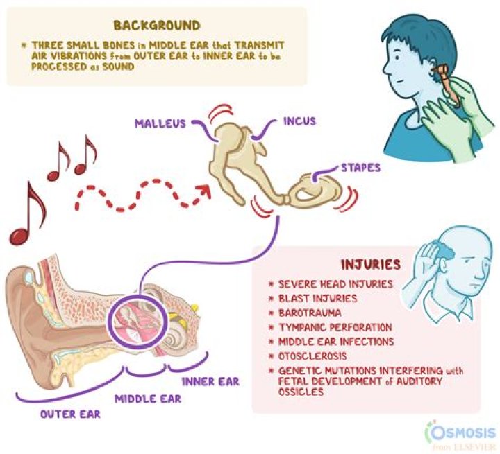 Why does picking ear feel good?