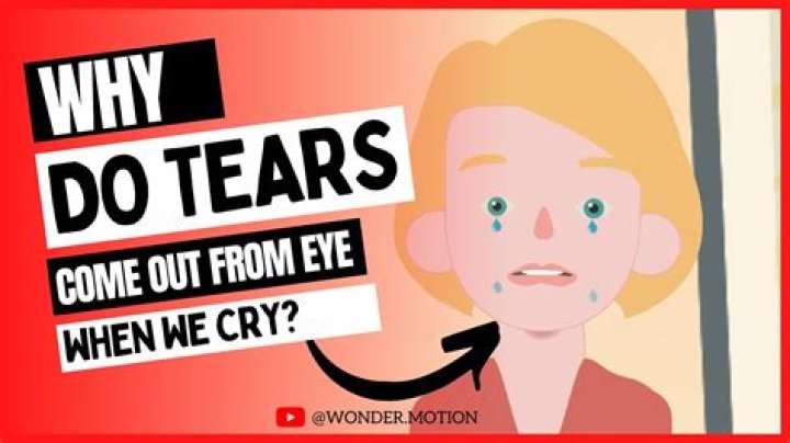 Why does Wormtongue shed tears?