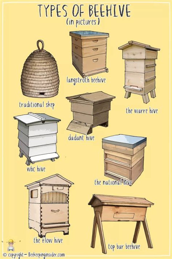 Why is beekeeping unethical?