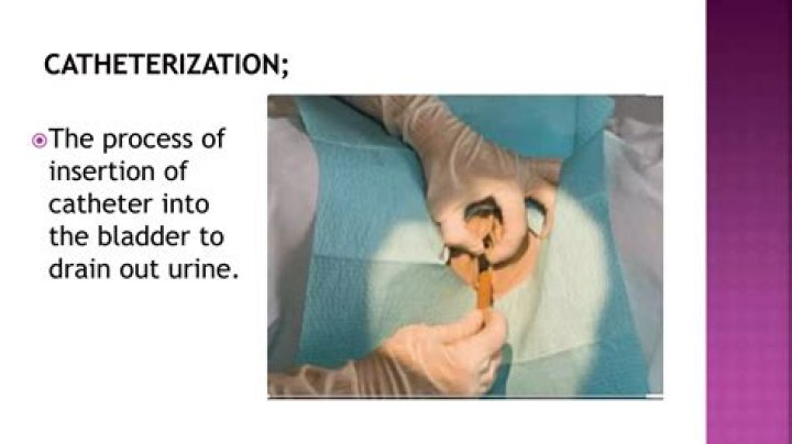 Why is catheter insertion painful?