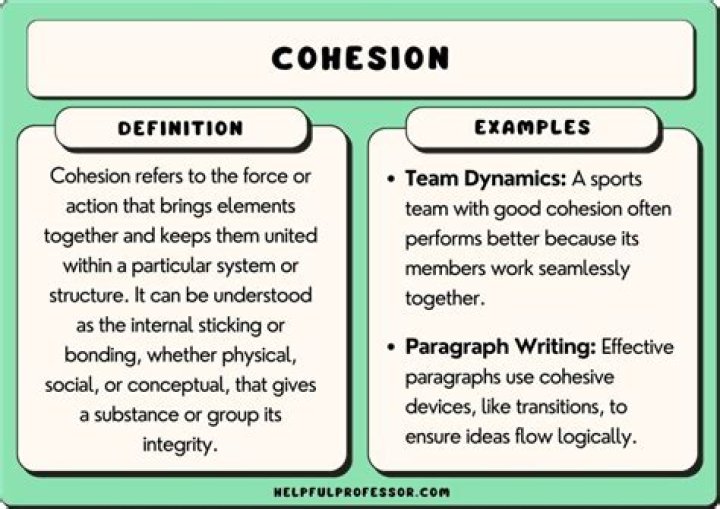 Why is cohesion in a paragraph important?