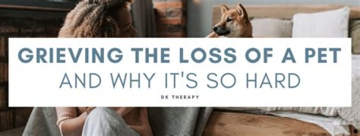 Why is losing a pet so hard?