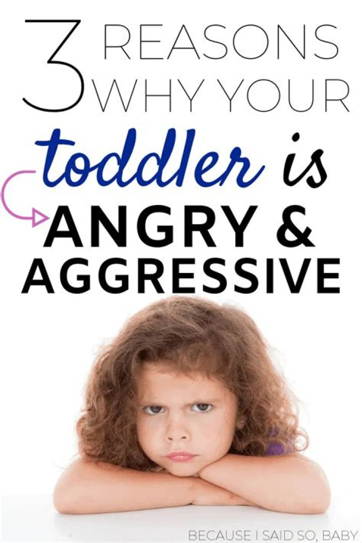 Why is my toddler so angry?