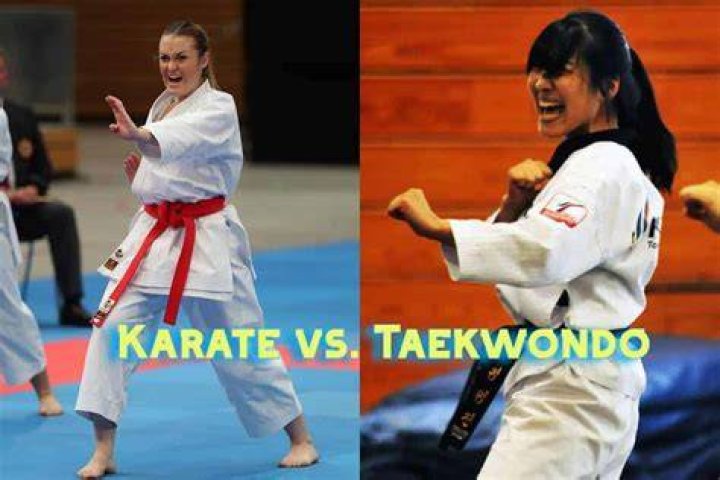 Why is Taekwondo disrespected by other martial arts?